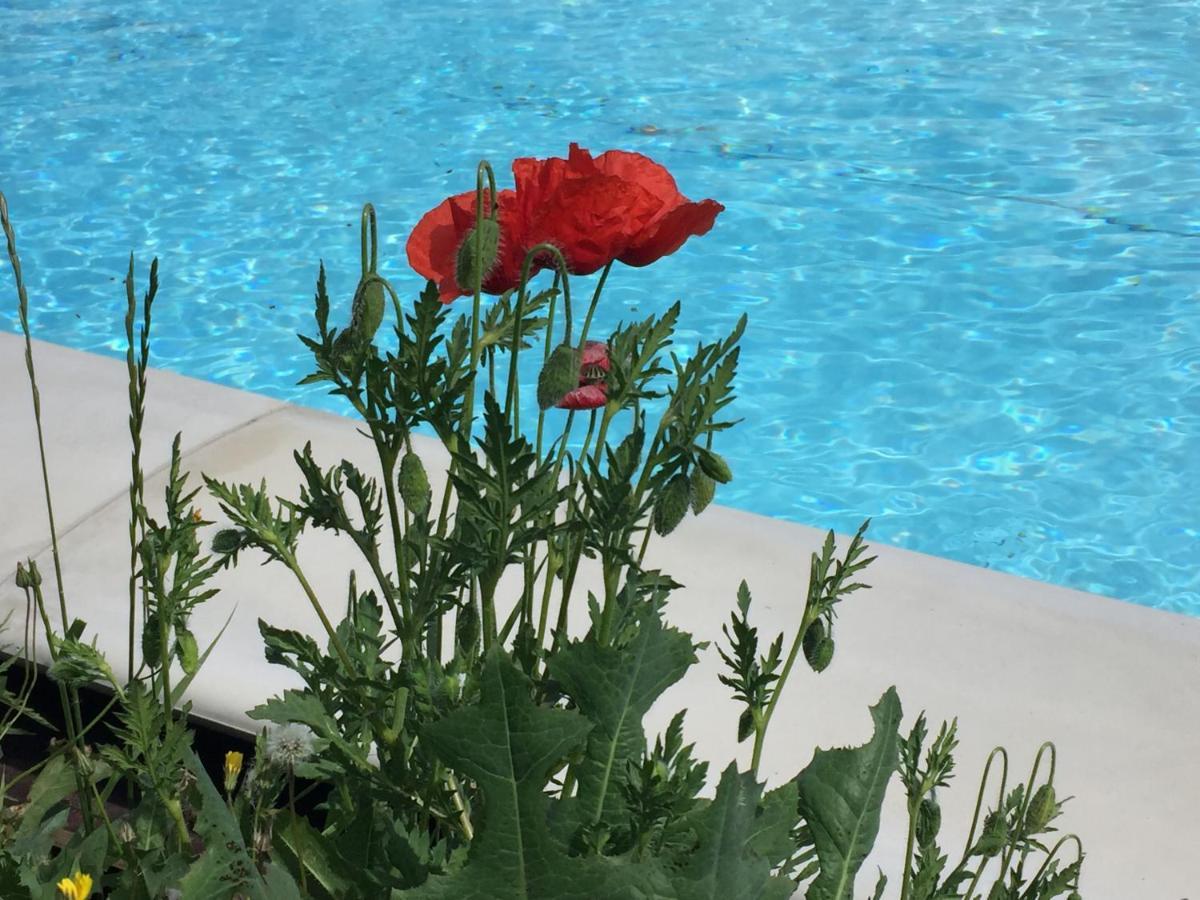 Nido D'Amore Dernice Exteriér fotografie